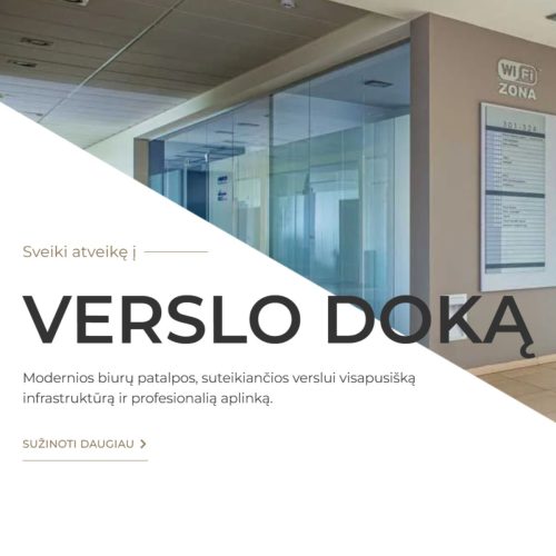 Verslo dokas