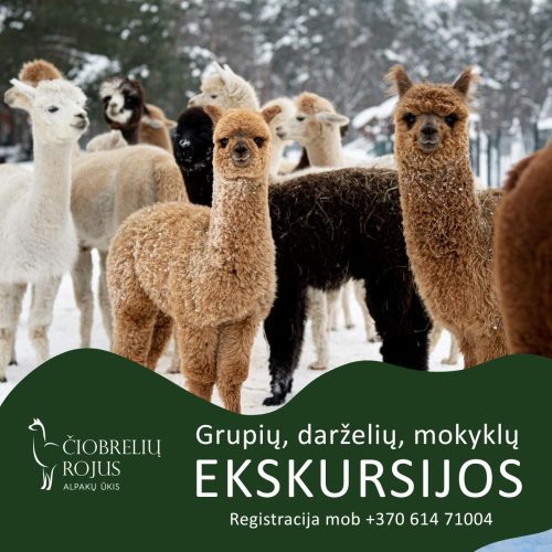 ekskursijos ir isleistuves